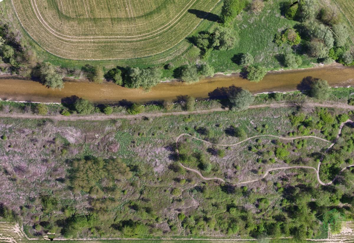 Orthophotographie rivière — cartographie environnement géosciences photogrammétrie