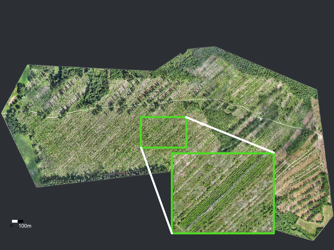 Orthophotographie massif forestier Morvan photogrammétrie suivi parcellaire 120ha